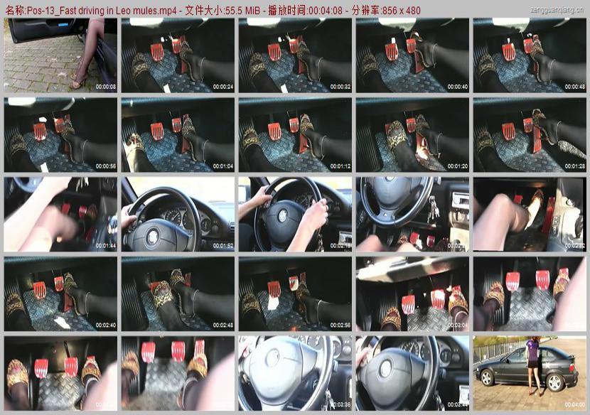 Pos-13_Fast driving in Leo mules